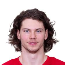 Photo of Moritz Seider